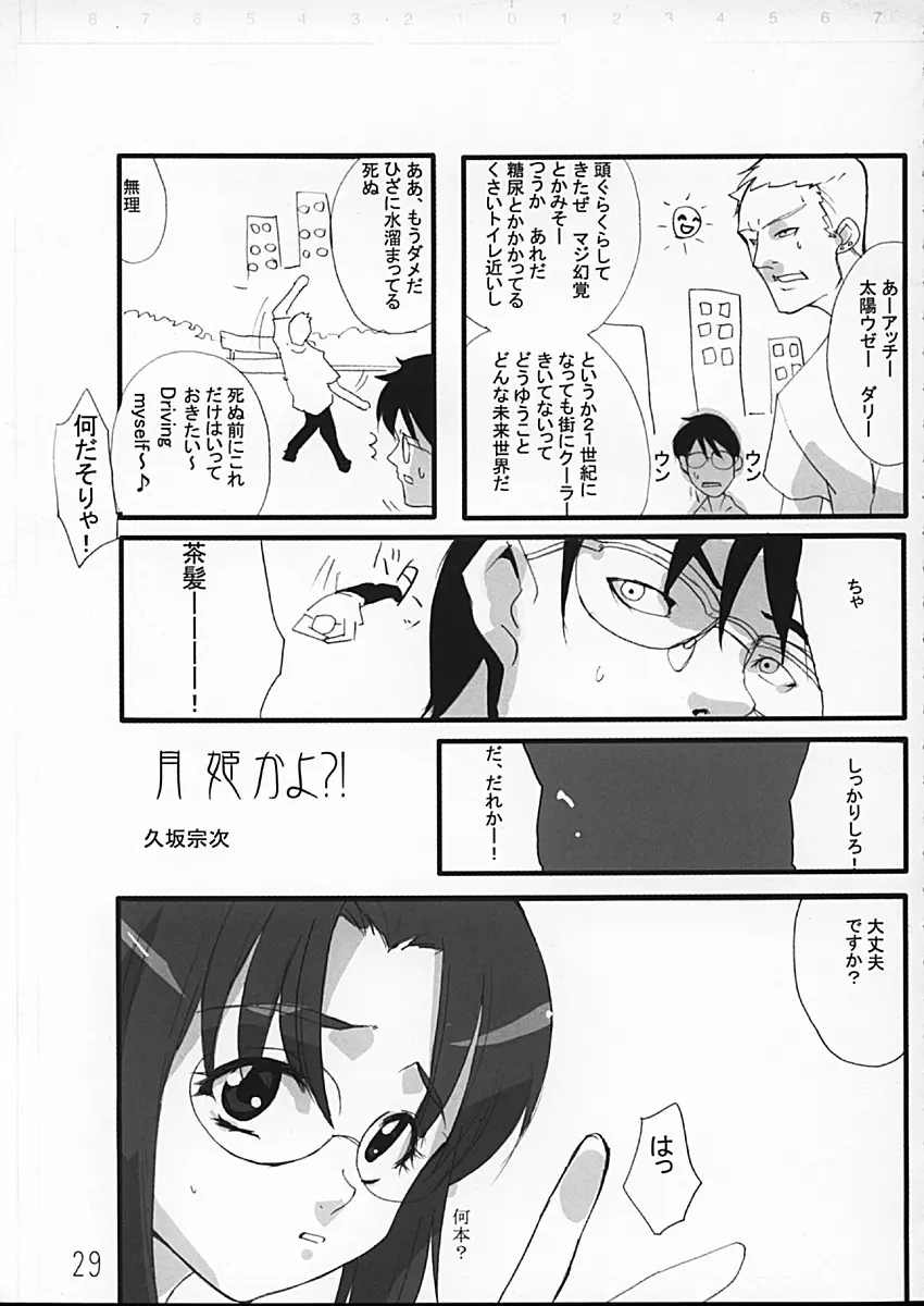 月姫の本 - page29