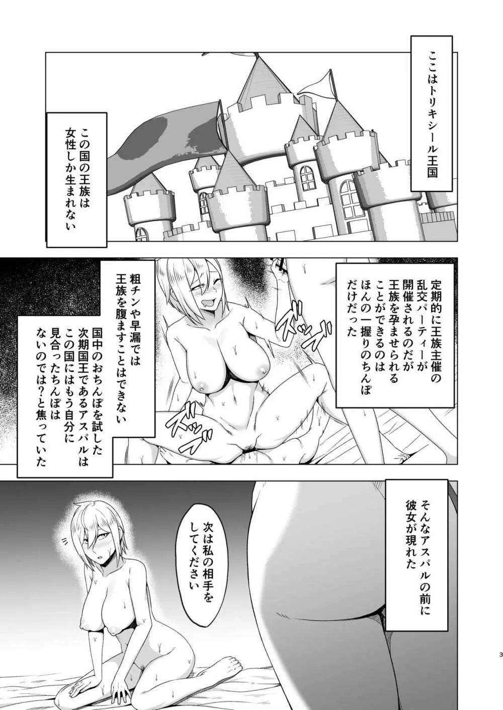 チンデレラ～ふたなりちんぽを求めて～ - page2