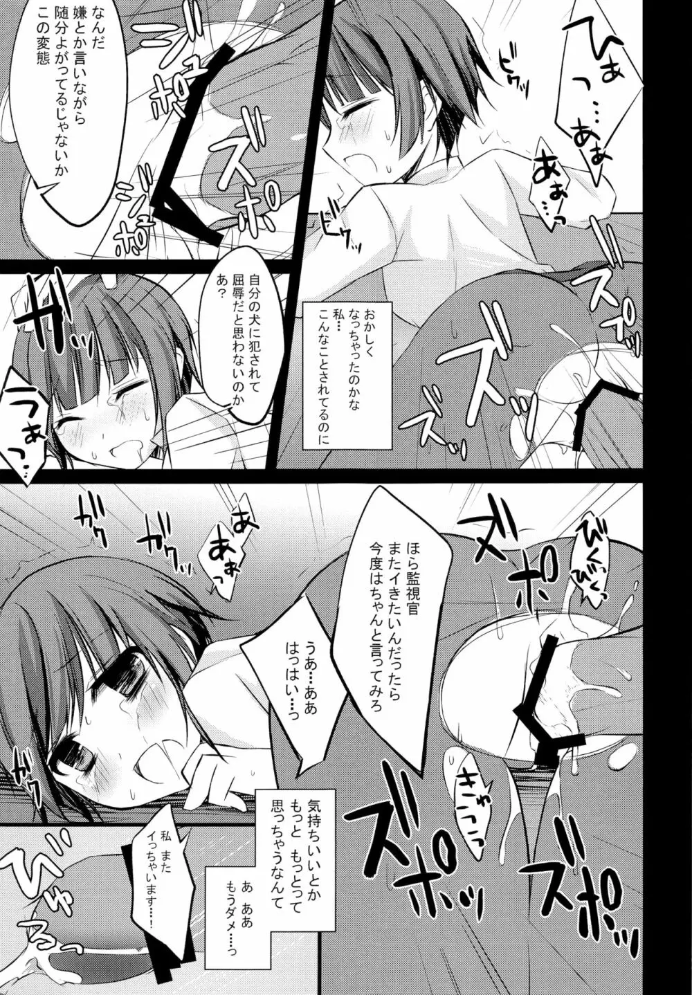 犬の飼い方 躾け方 - page12