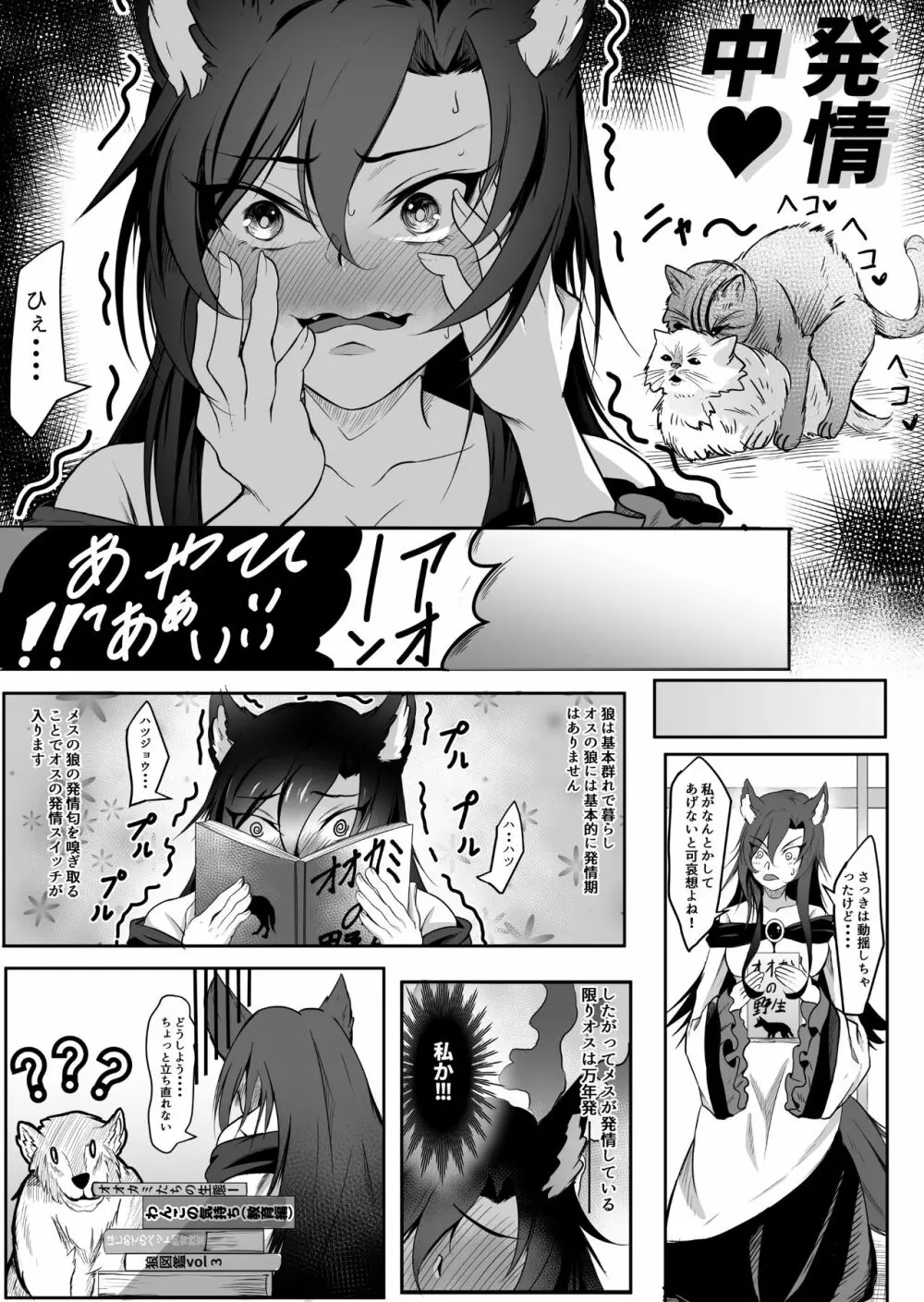 影狼×オオカミ君 - page5