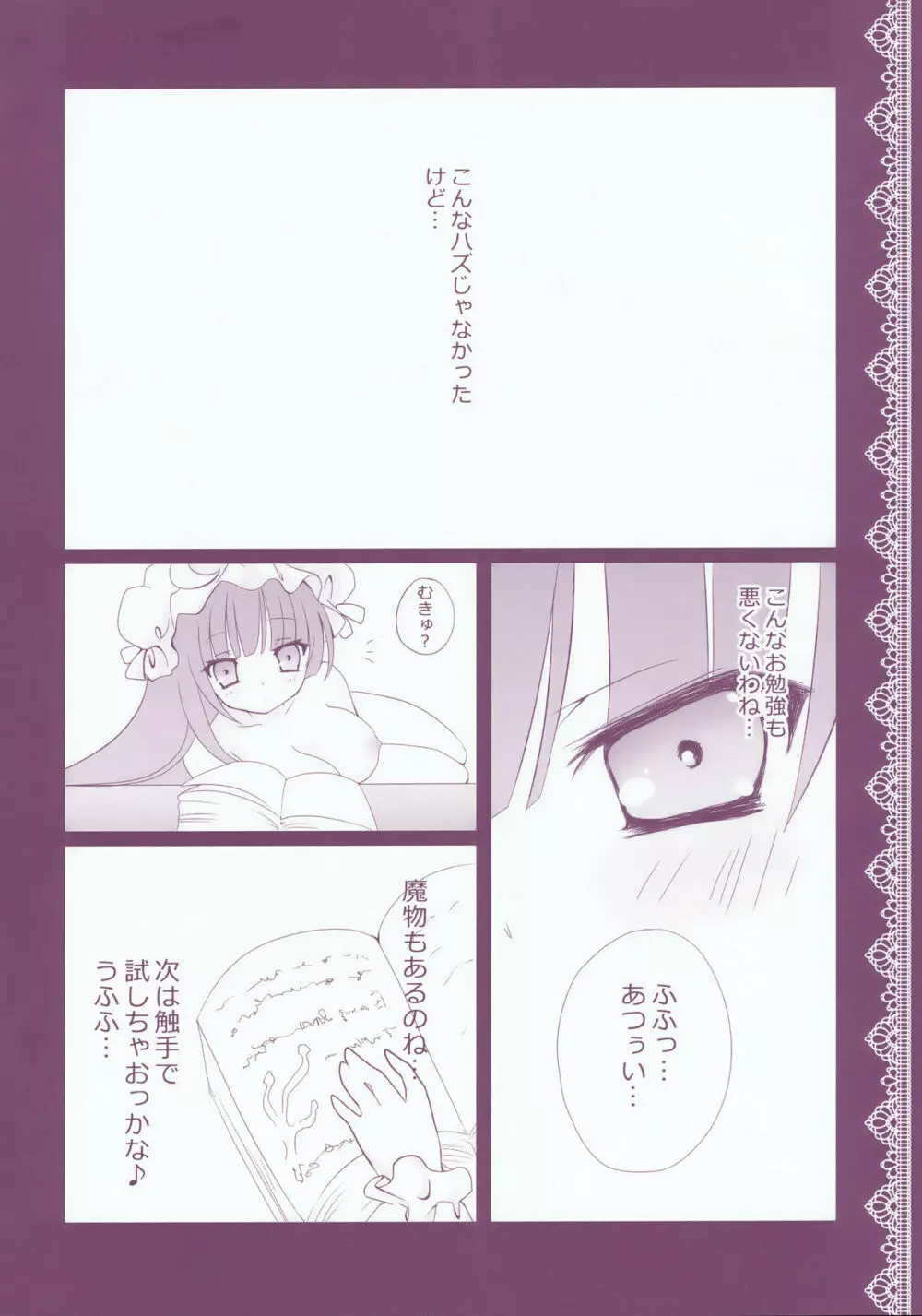 ぱちゅりーのお勉強 - page24