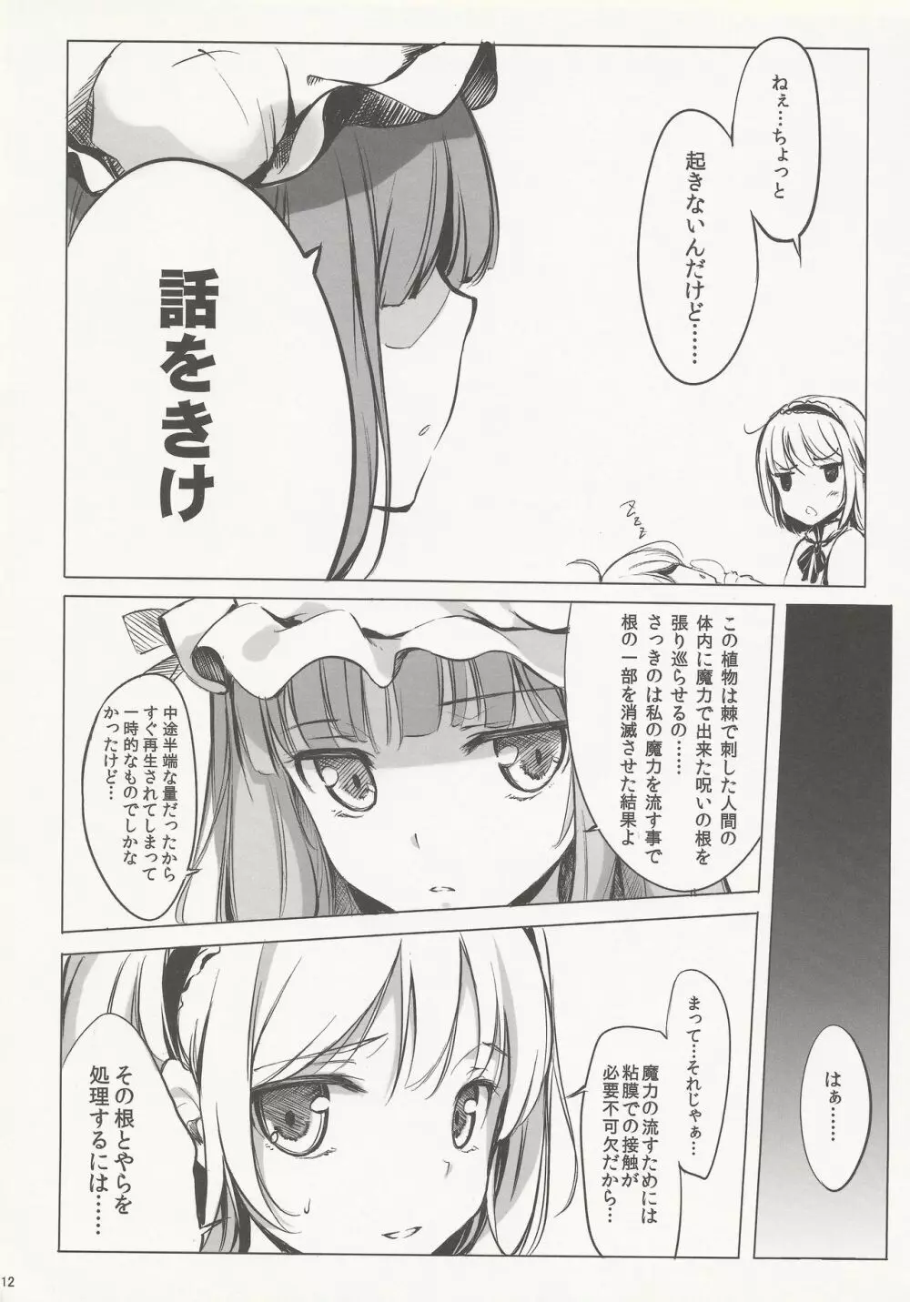 SLEEPING MAGE ‐魔法の森の眠り姫‐ 劇毒少女 Publication Number VII - page11