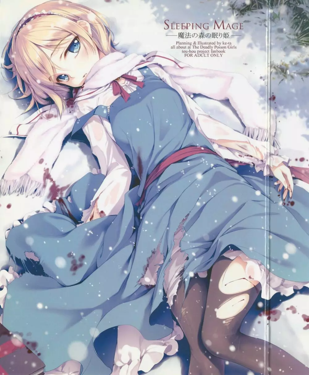 SLEEPING MAGE ‐魔法の森の眠り姫‐ 劇毒少女 Publication Number VII - page27