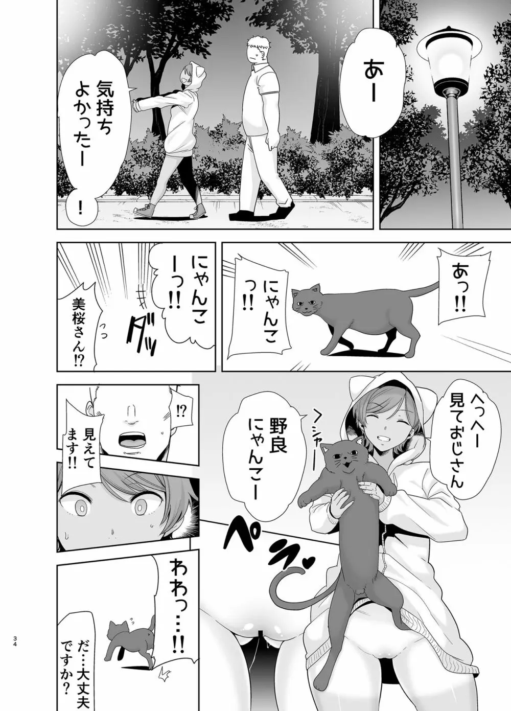 聖華女学院高等部公認竿おじさん5 - page33