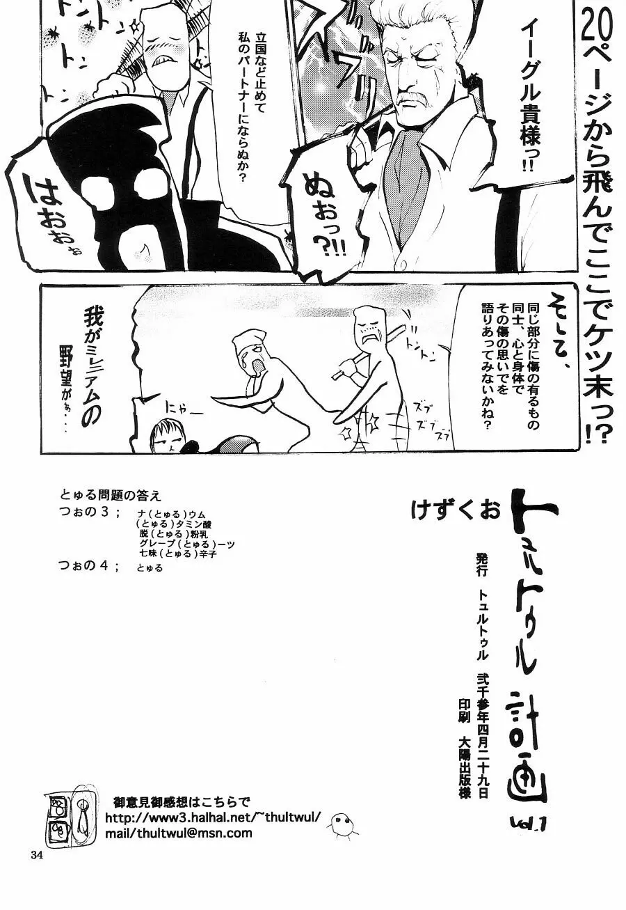 トュルトゥル計画 Vol. 1 - page34