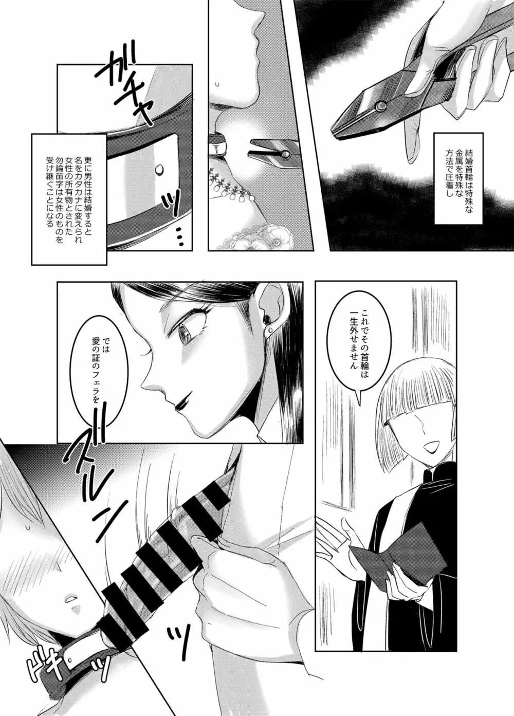 女権国家における婚姻と家族生活 - page9