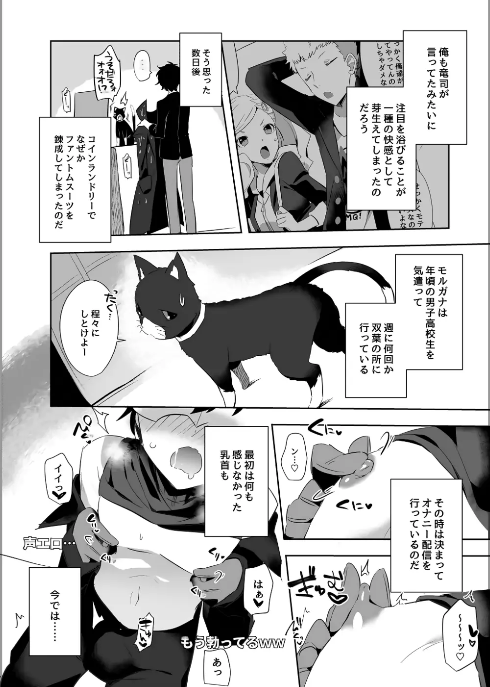 怪盗団リーダーの秘密の生放送 - page7