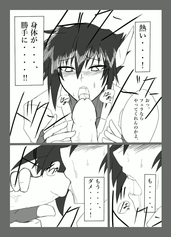 チキられエールさん 総集編1（ロックマンゼクス アドベント） - page14