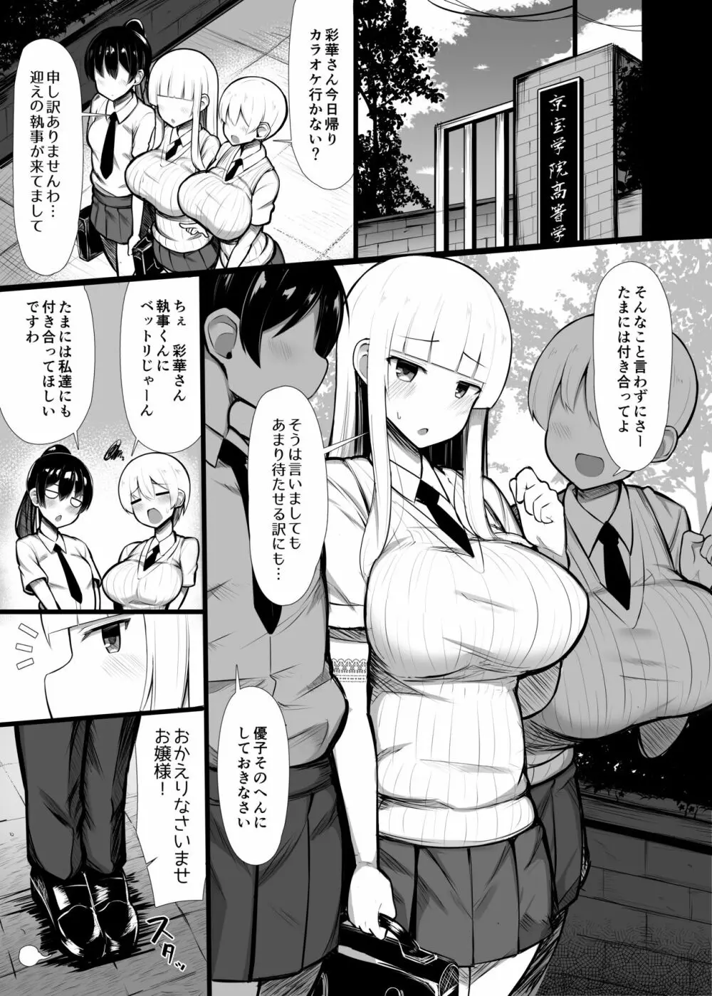 お嬢様に買われたボク2 - page3