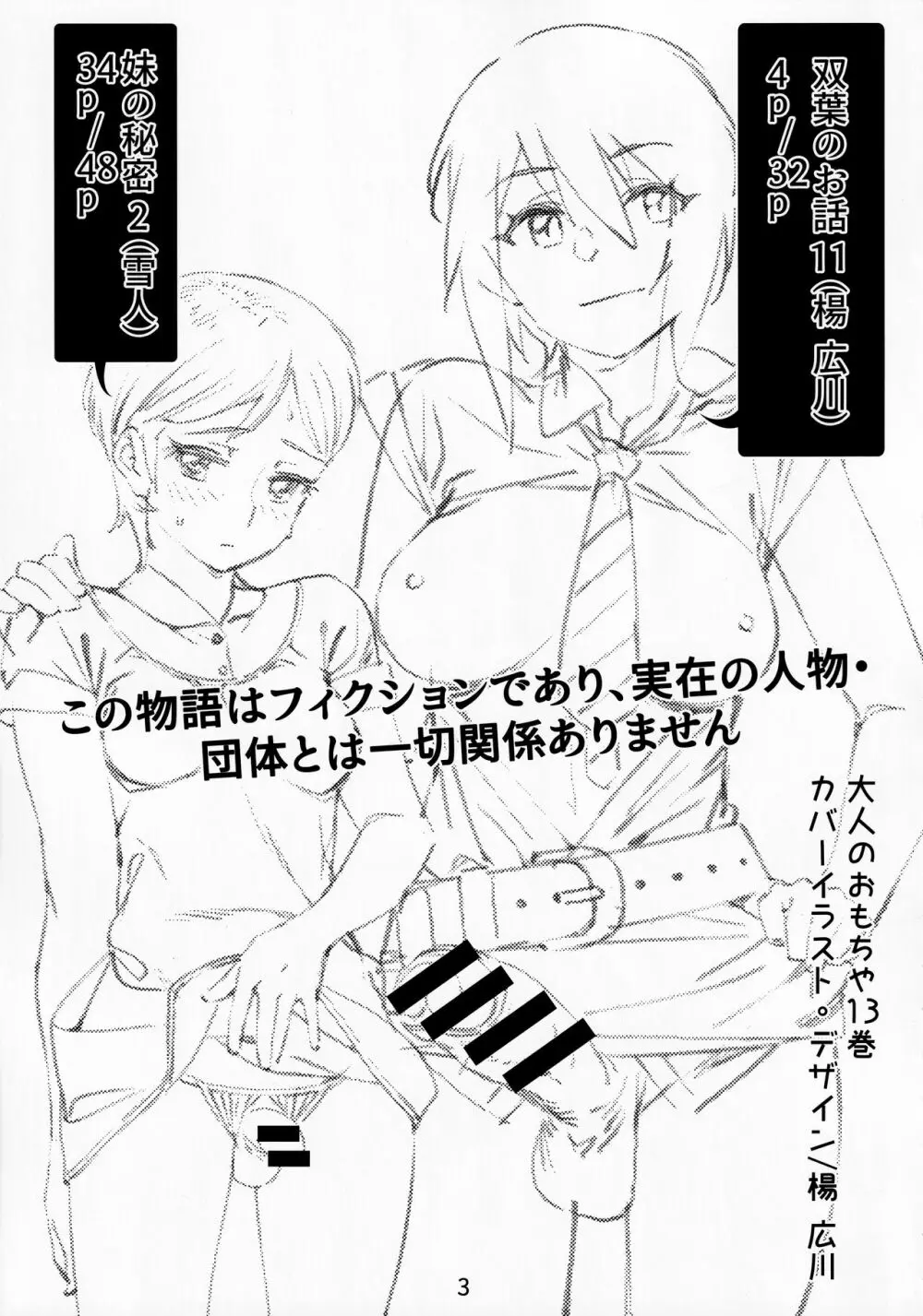 大人のおもちや13 - page2