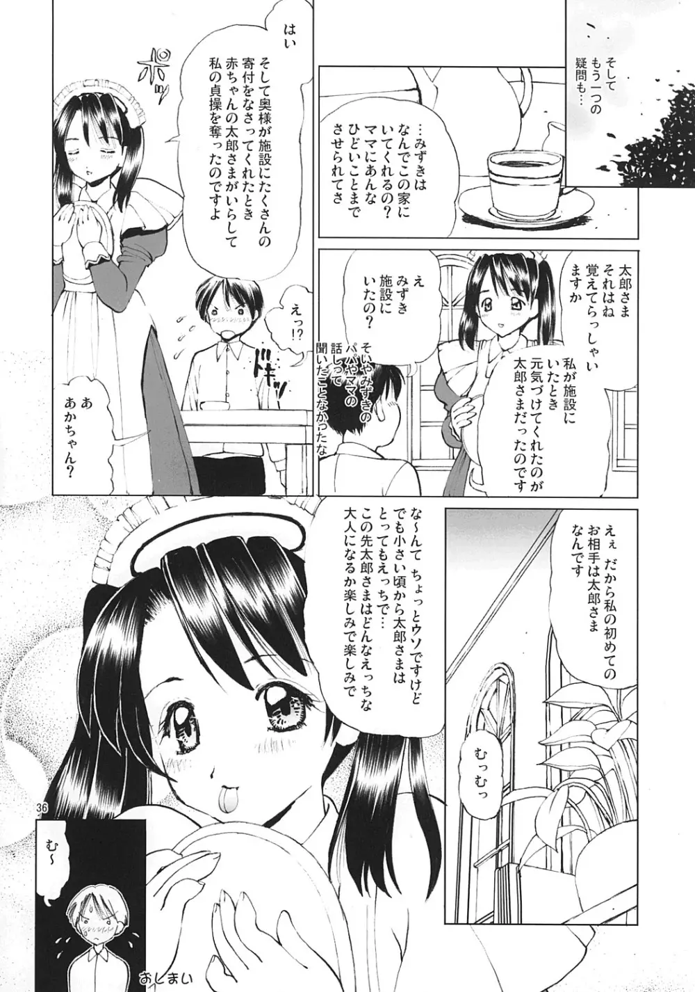 えっちなメイドさん3 -蹂躙編- - page35