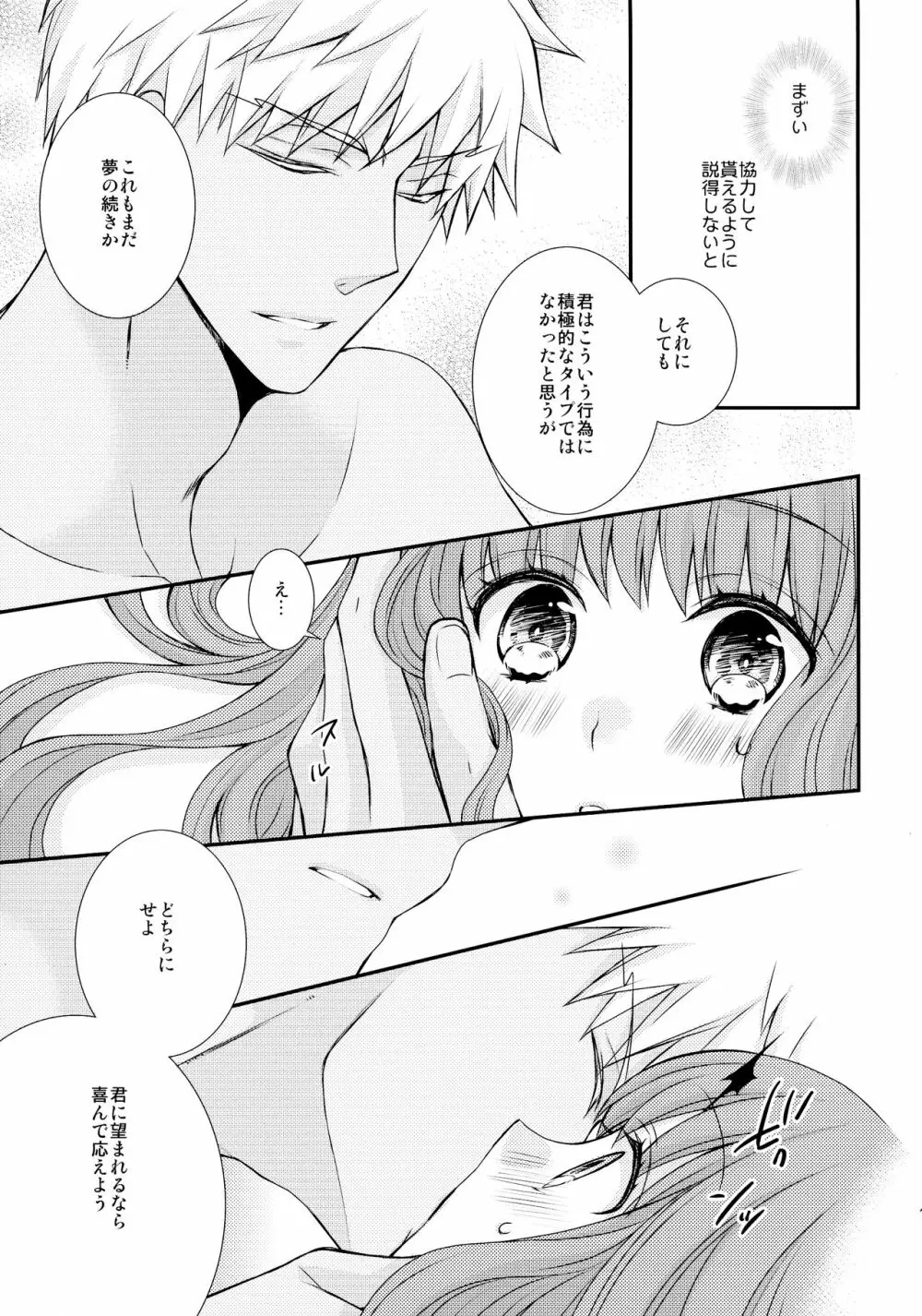 いつかの未来と過去の夢 - page13