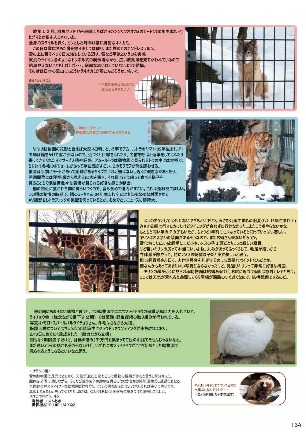 mayけものフレンズスレ合同誌 - page136