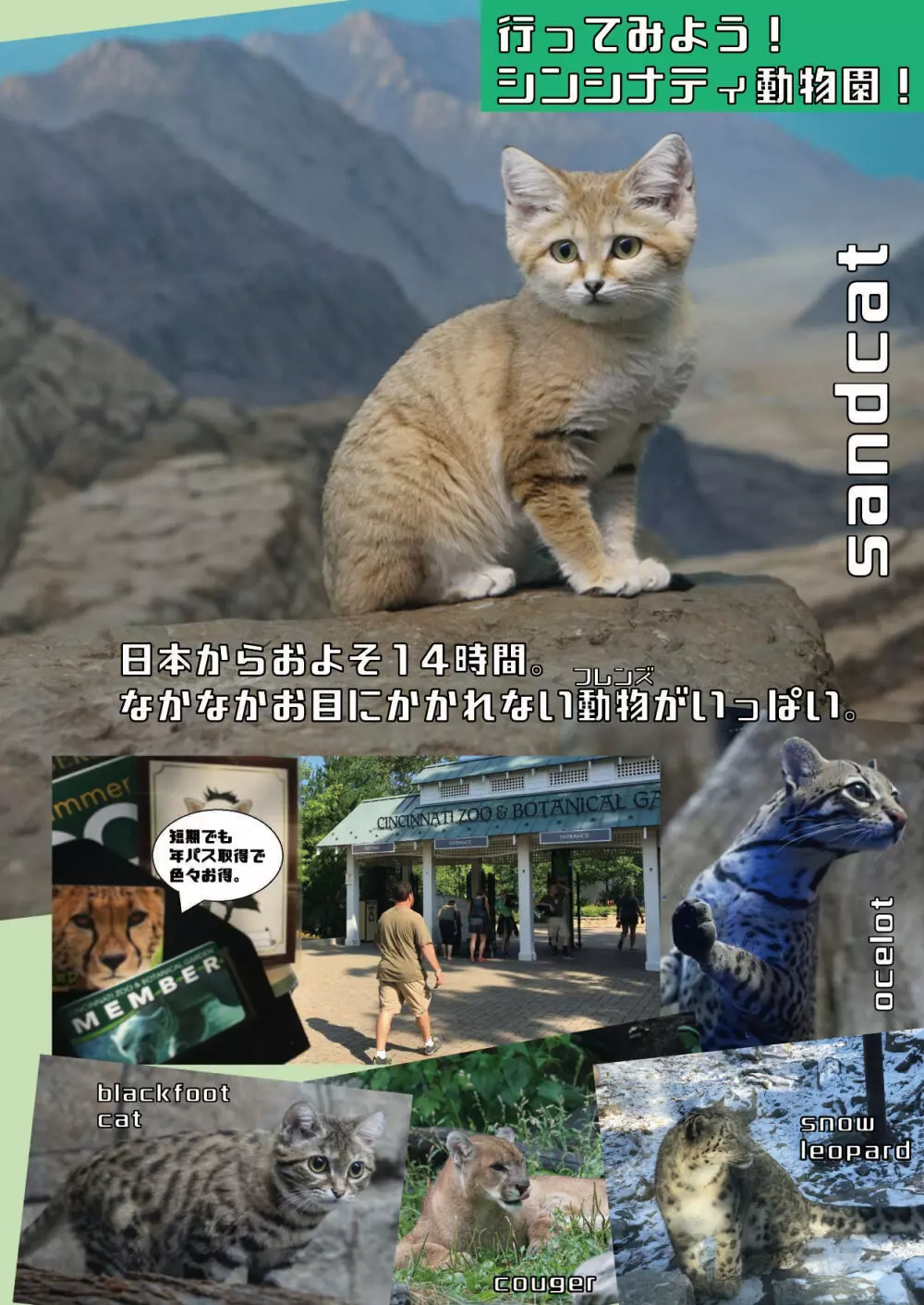 mayけものフレンズスレ合同誌 - page150