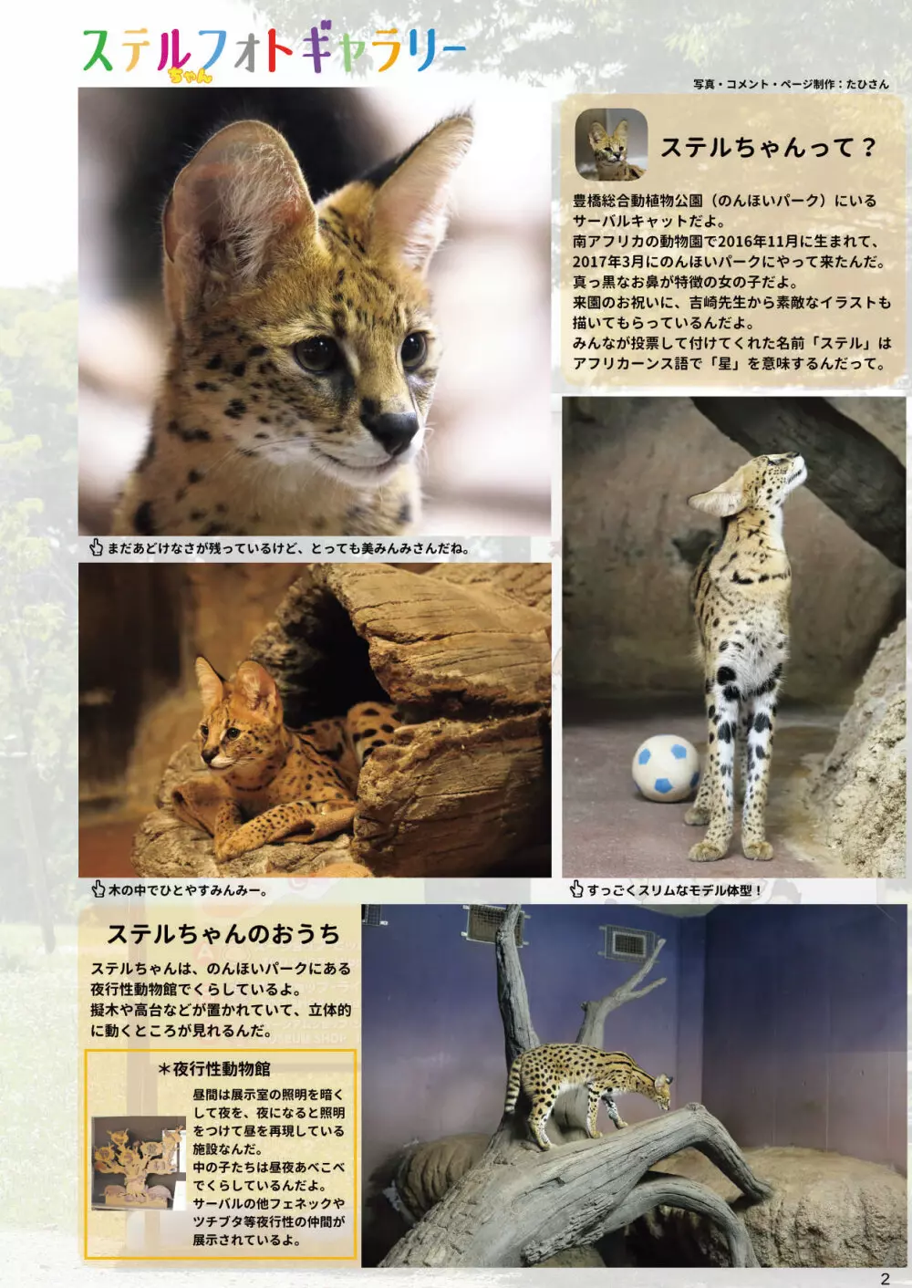 mayけものフレンズスレ合同誌 - page4