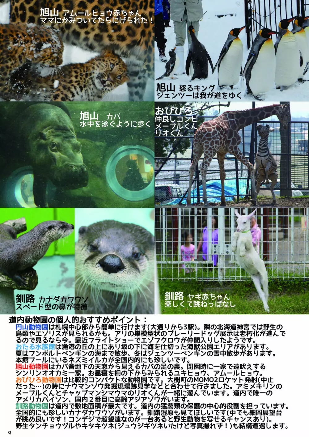 mayけものフレンズスレ合同誌2 - page11