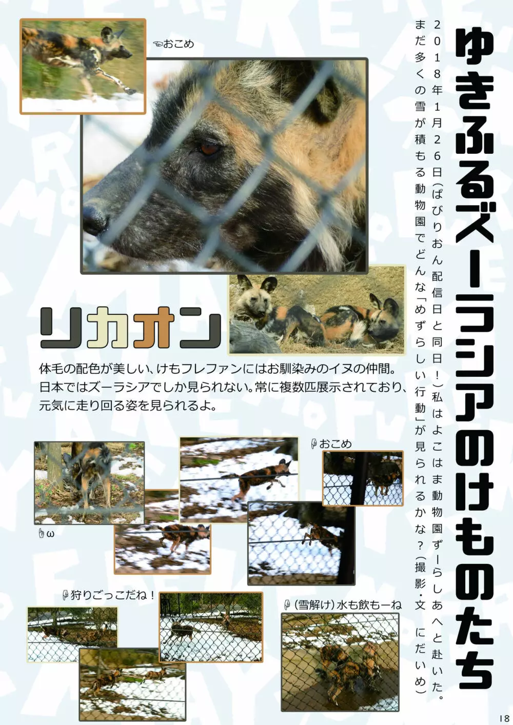 mayけものフレンズスレ合同誌2 - page20