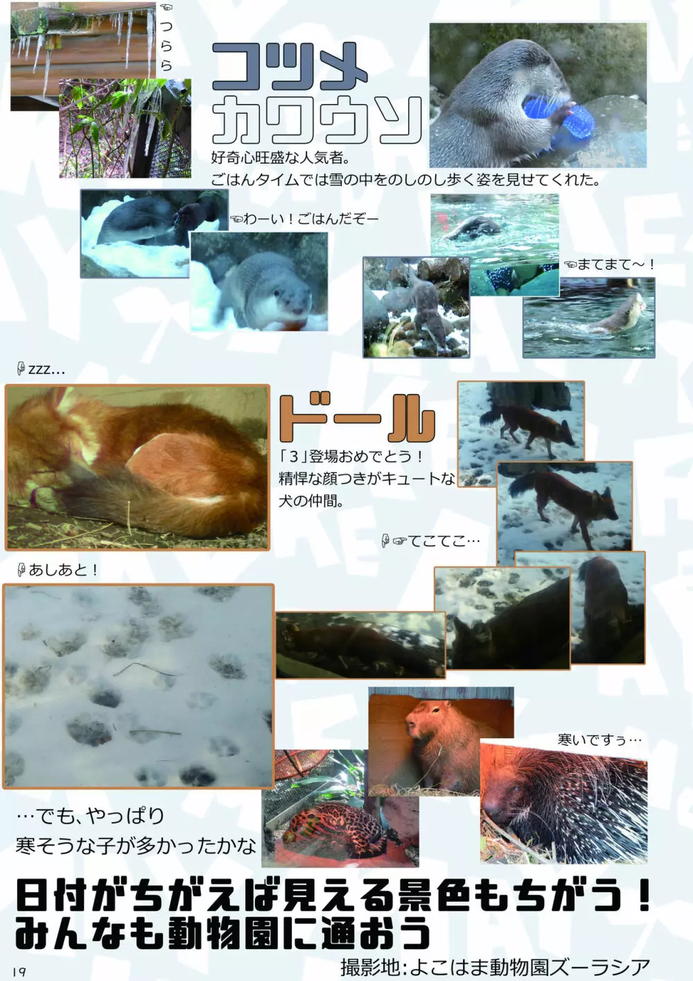 mayけものフレンズスレ合同誌2 - page21