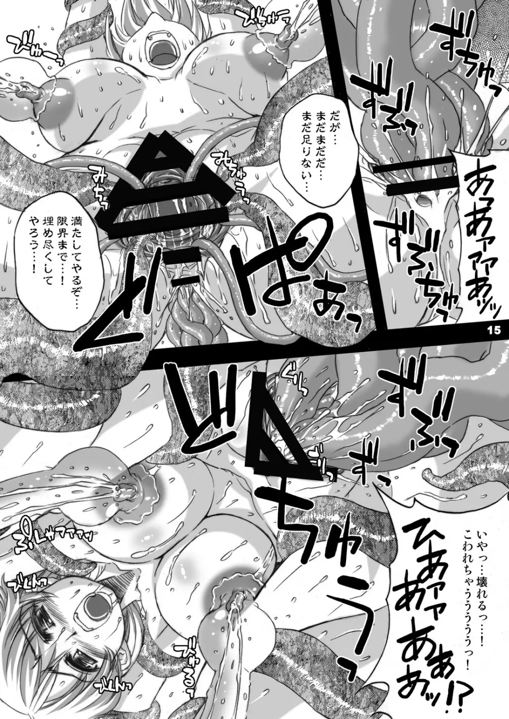 ソウルスレイヴ ～聖戦士乳辱～ - page14