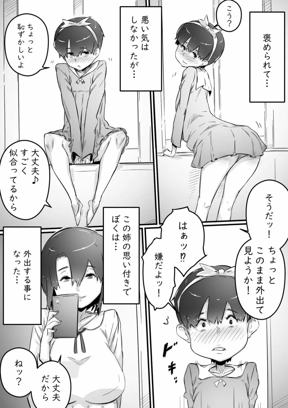 [ヒレカツ] 姉との日々 part-II -発芽の季節編- - page3