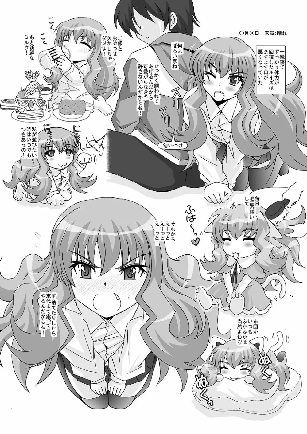 今日、野良ルイズを拾った - page5