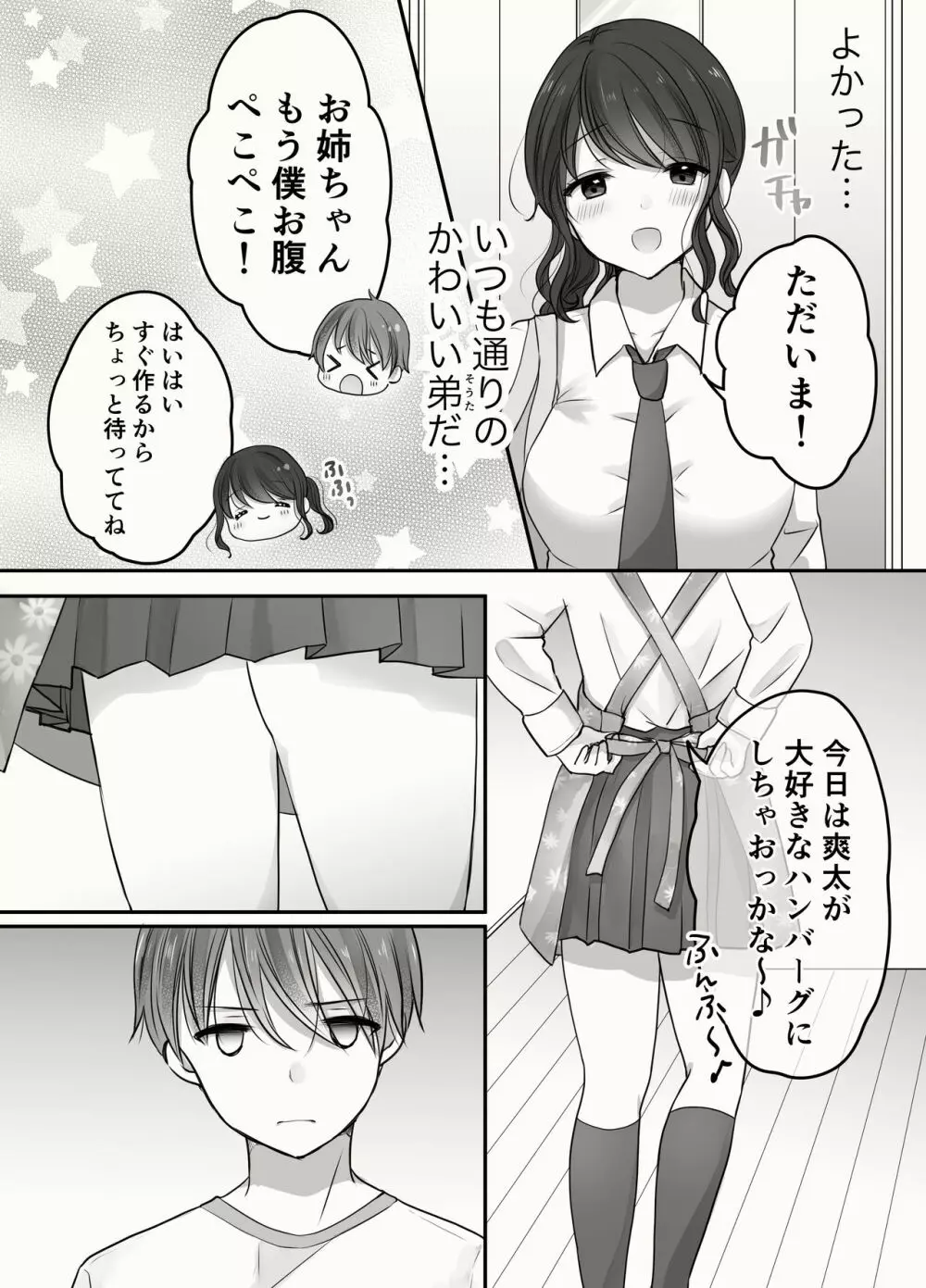 姉と弟のえっちなルーティーン - page24