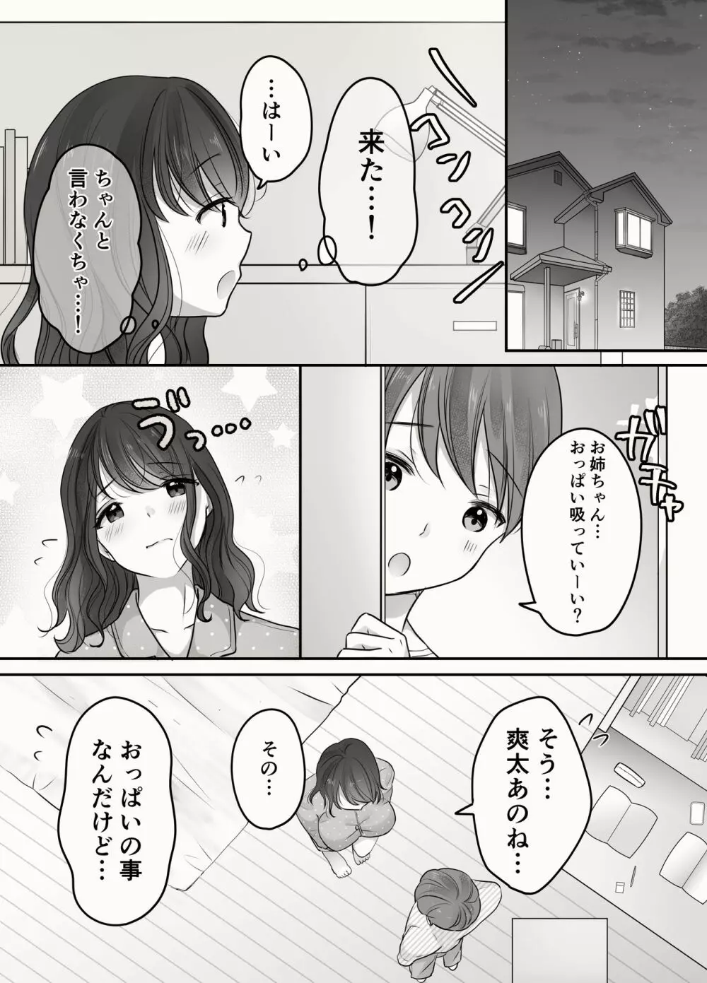 姉と弟のえっちなルーティーン - page25