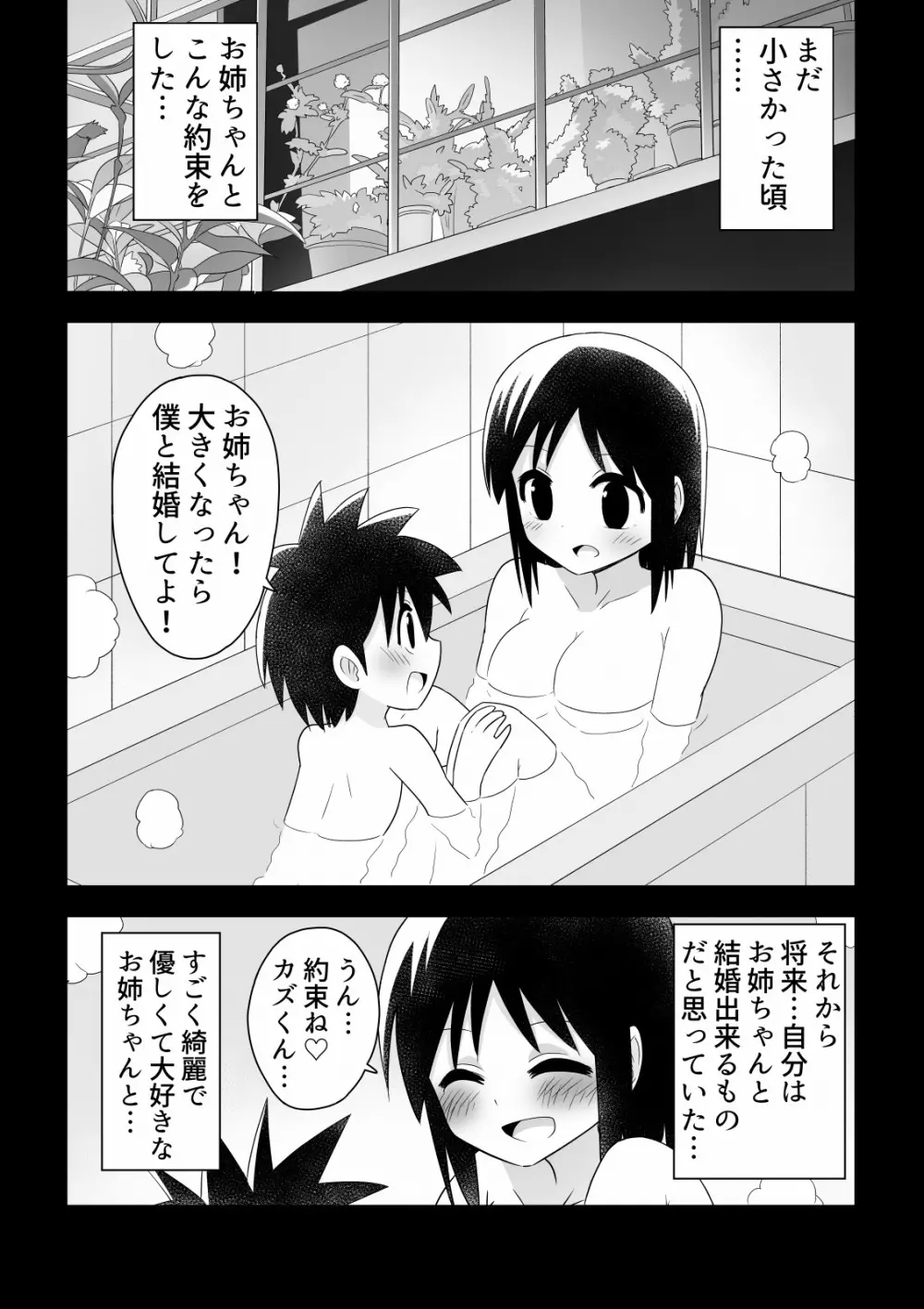 親友にお姉ちゃんを奪われる少年の話 - page2