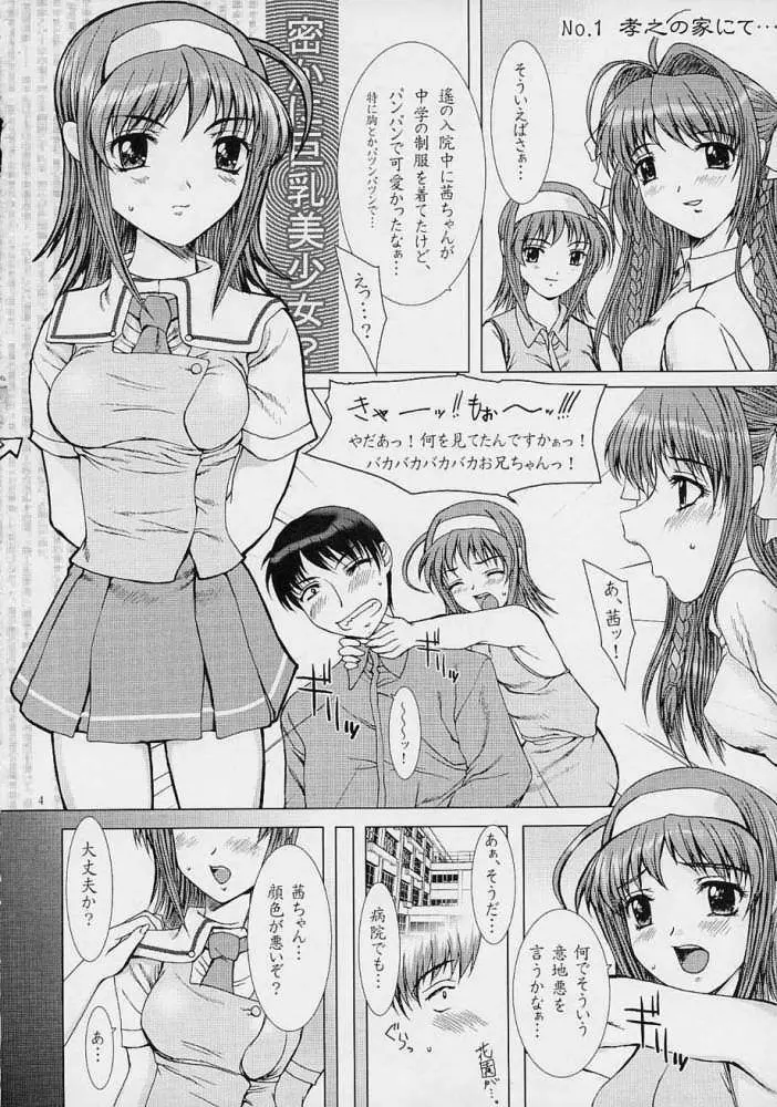 Kimi Ga Nozomu Eien - Precious Heart - Mousou Kine Bi - page3