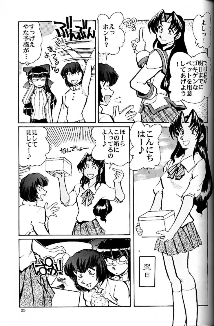 私立三絃堂学園 赤点號 - page24