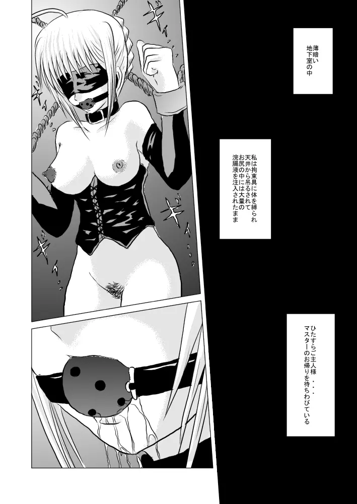 セイバー、塗糞調教 - page3