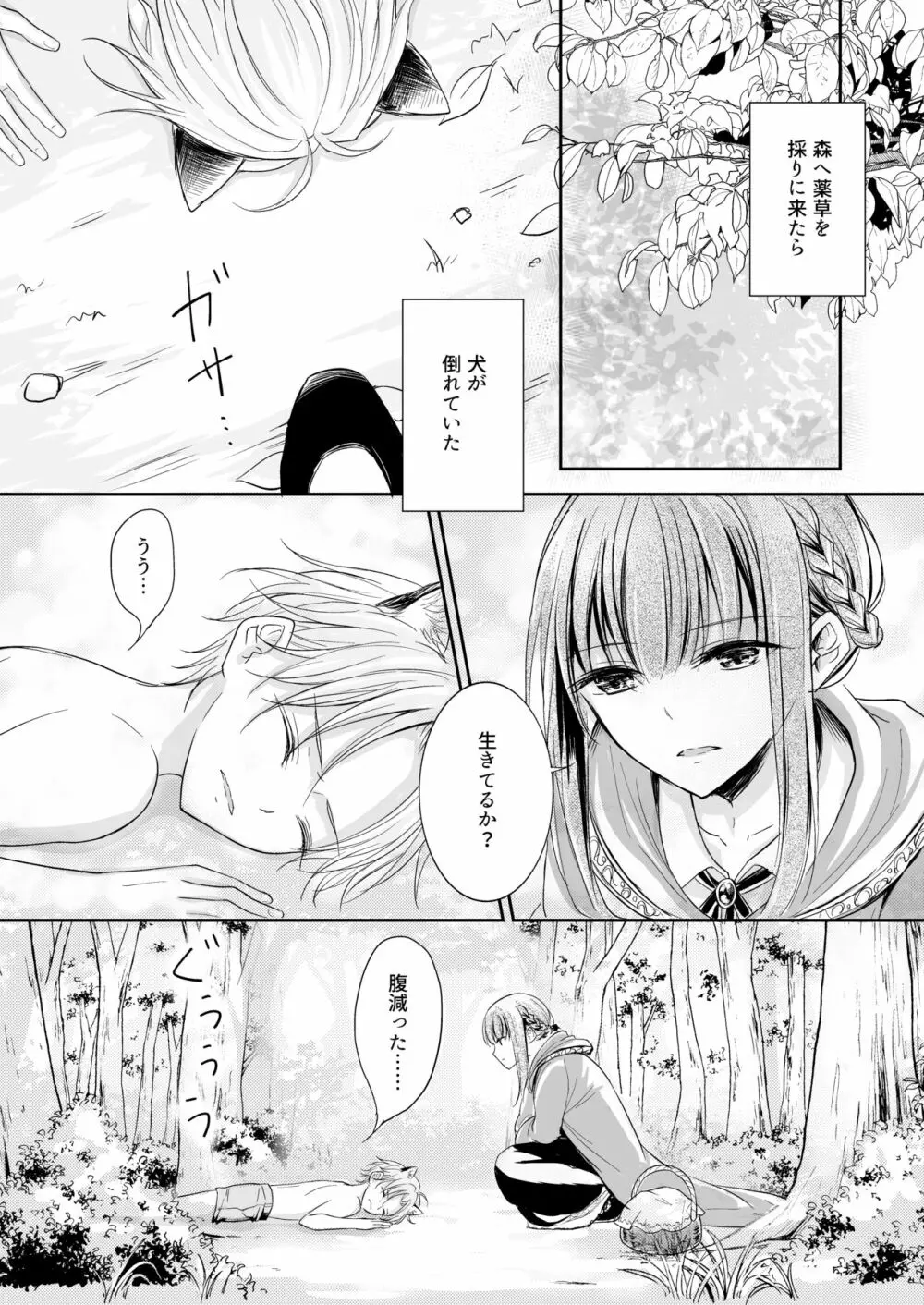 嫉妬～子犬を拾った魔女の話～ - page3