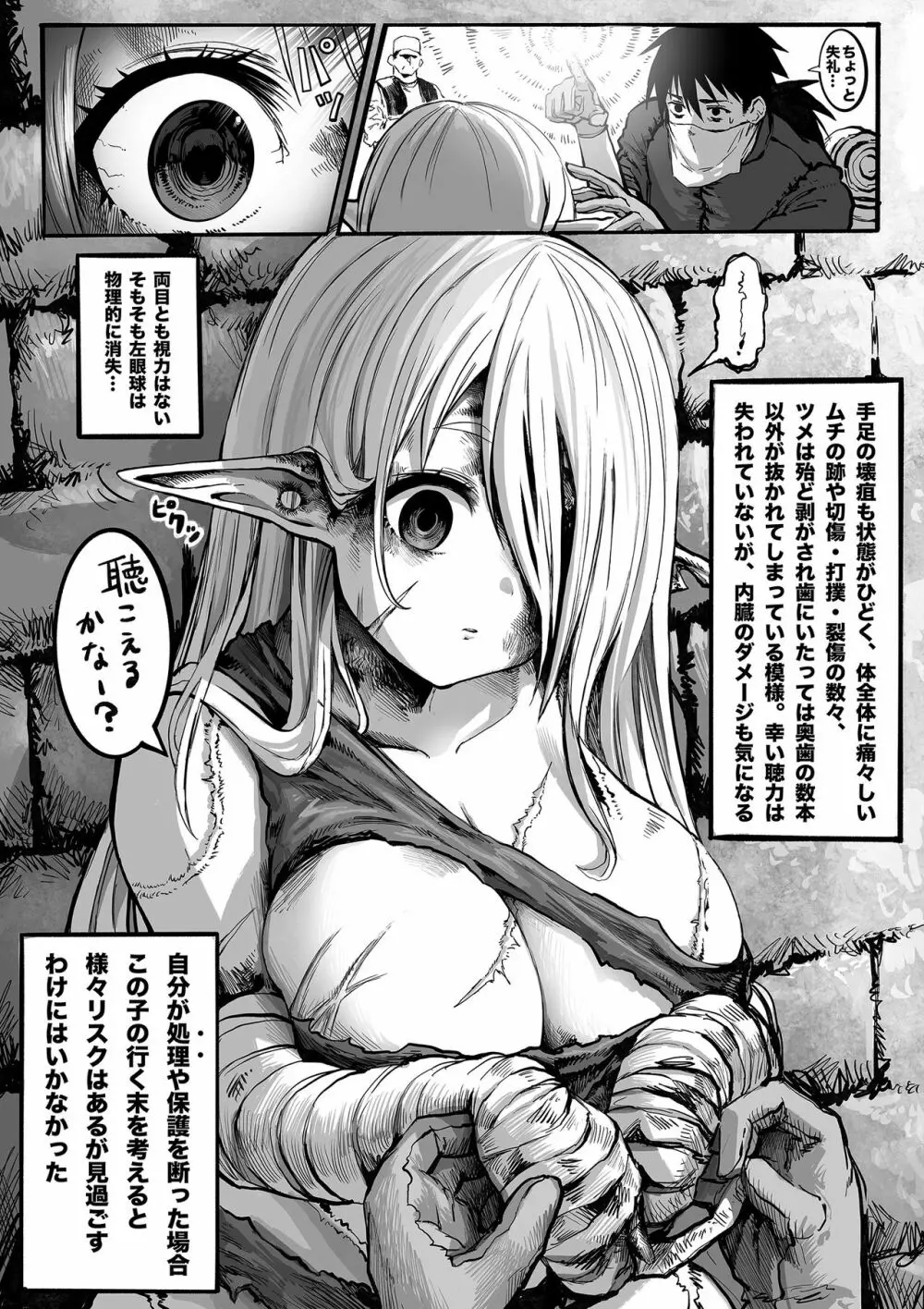 ボロボロのエルフさんを幸せにする薬売りさん ①~⑥ - page3