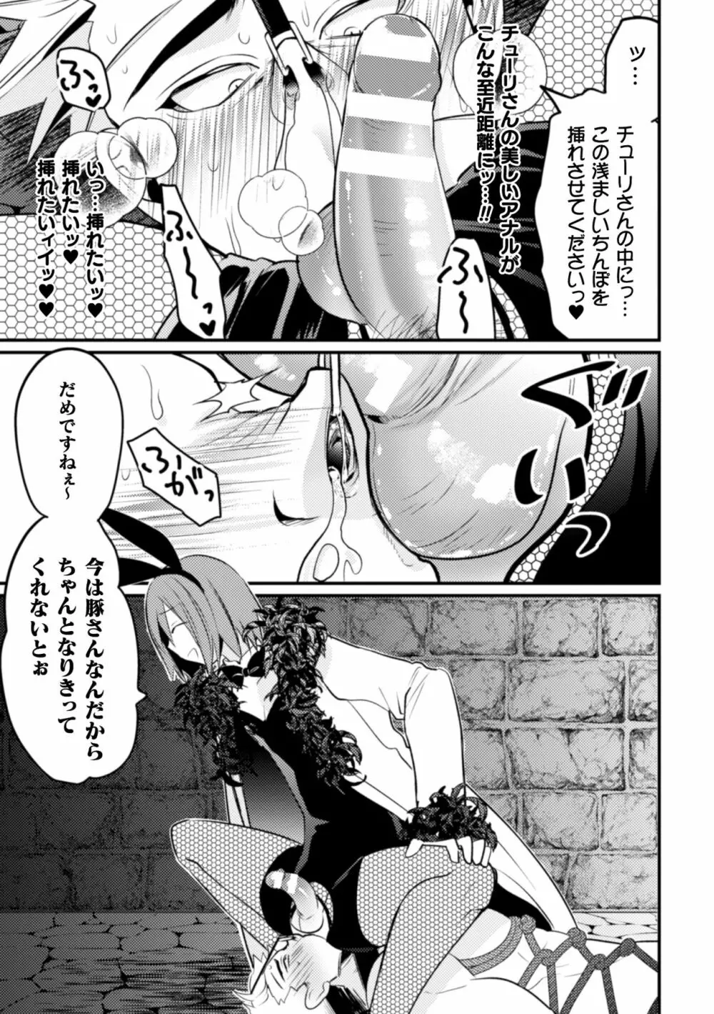 生真面目ドM戦士、酒場のバニー男の娘に××されちゃいました - page26