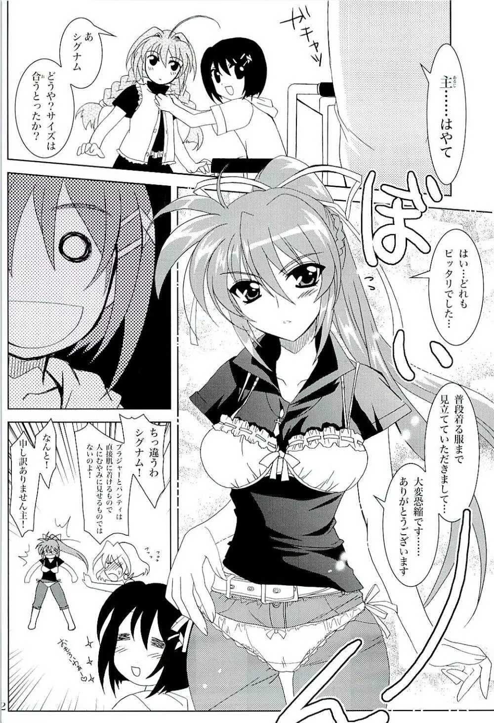 魔法少女マジカルSEED Z 反逆のなのは - page21