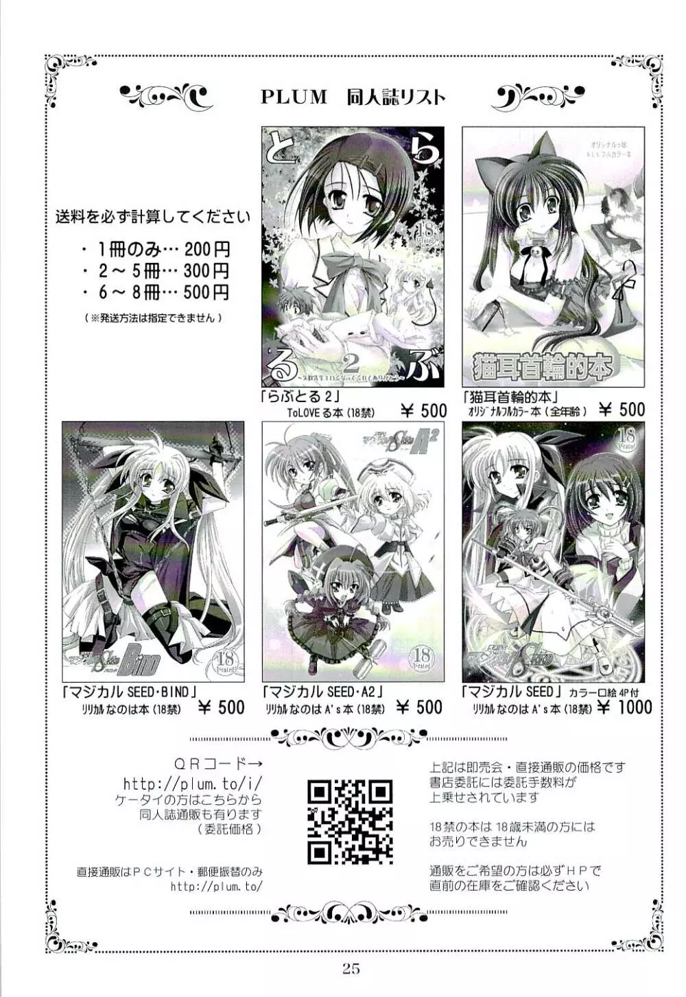 魔法少女マジカルSEED Z 反逆のなのは - page24