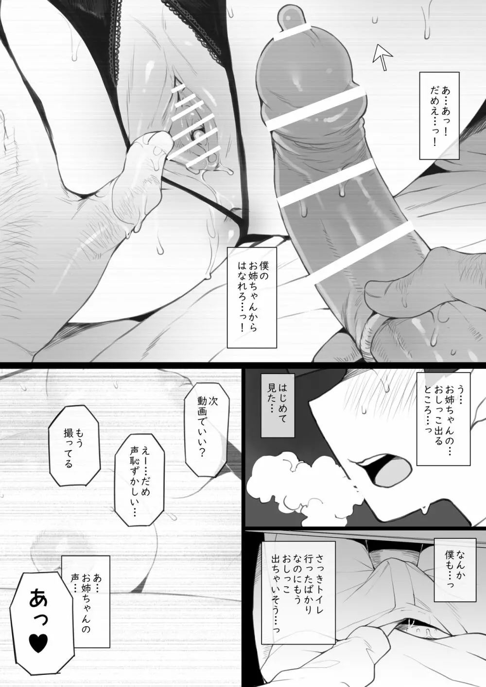 大好きなお姉ちゃんに借りたパソコンの中に… - page11