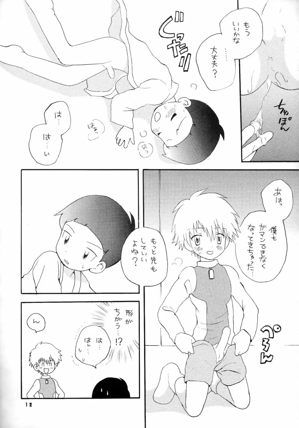 誠実な本 - page11