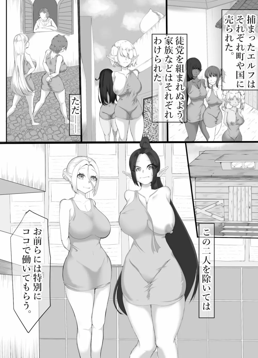 エルフ底辺奴隷へと堕ちる 3 - page2