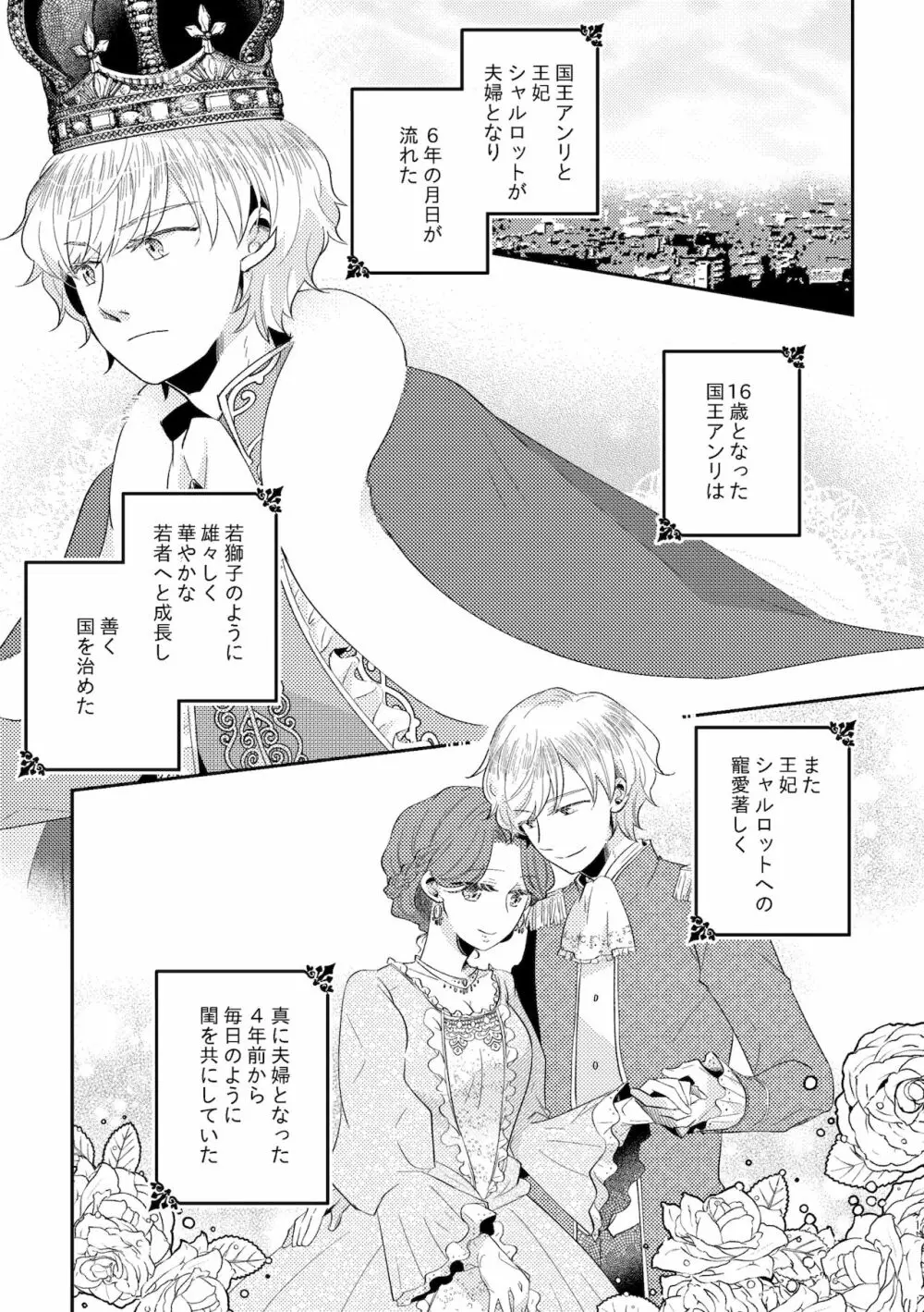 少年王と年上王妃 2 - page3