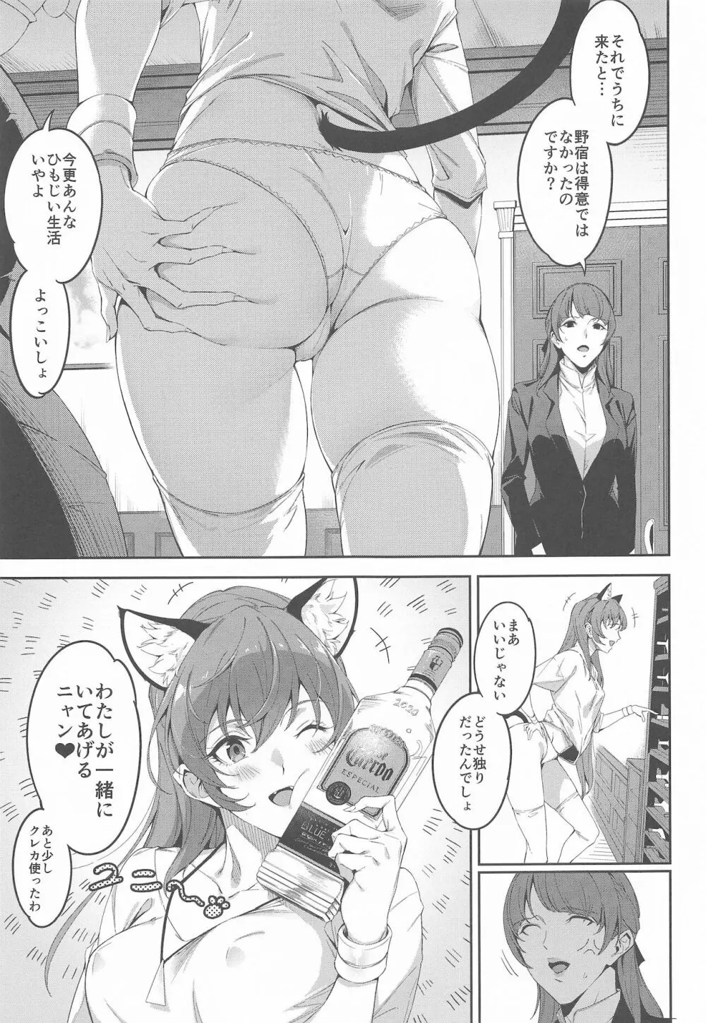 トゥインクルイマジネーションなんてなかった 15 years later vol.2 - page12