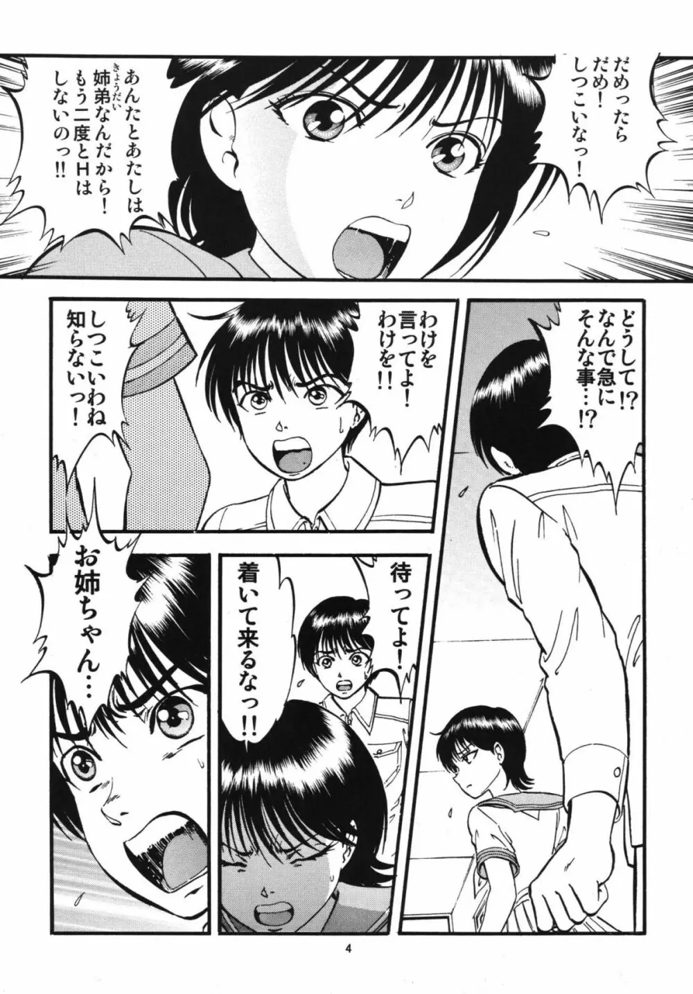 R姉弟 結 ～イルミとヒロキ～ - page3