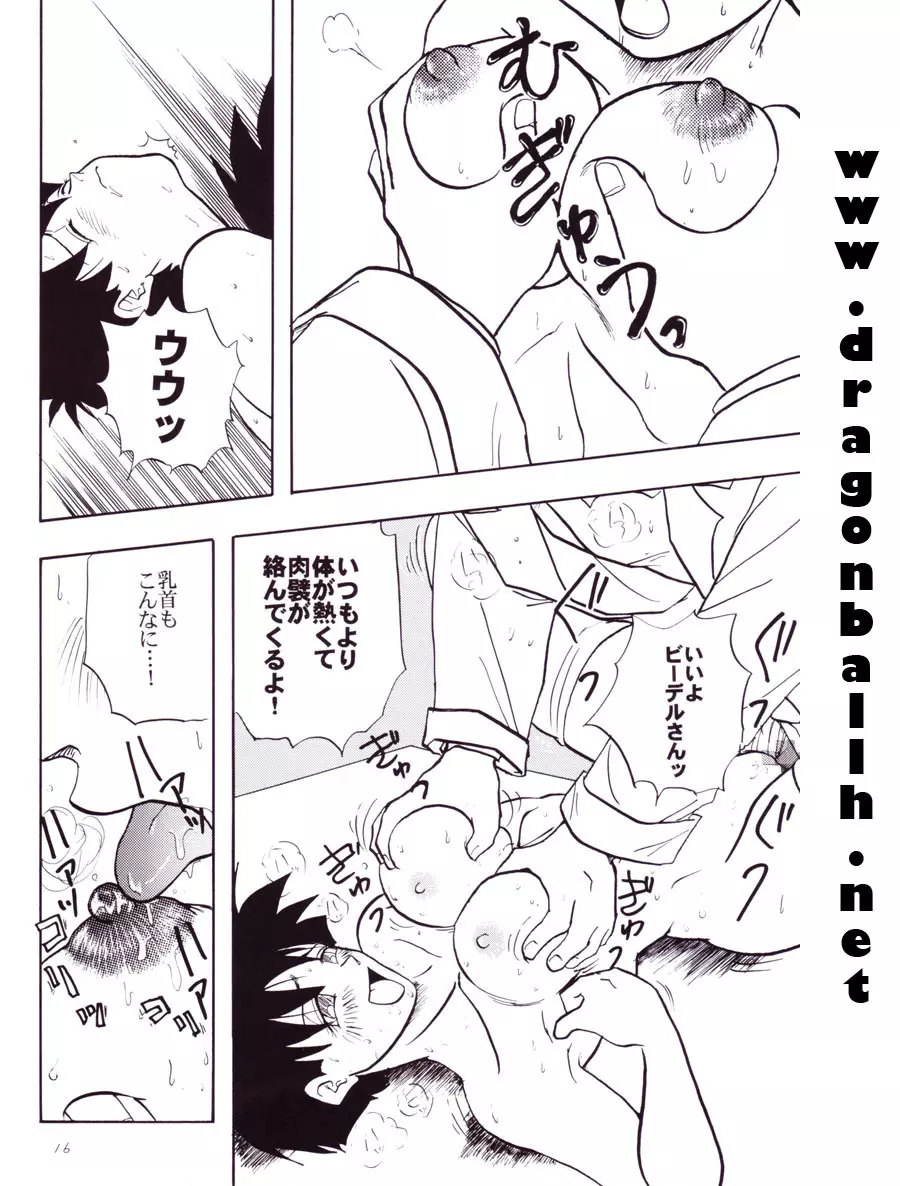 Dragon Ball Z - Wakayo - page17