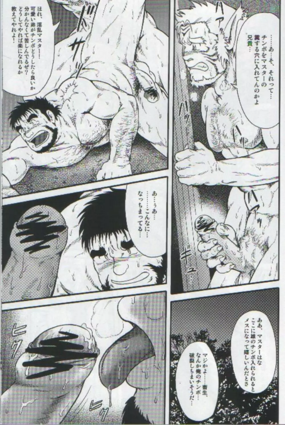 野 生 - page18