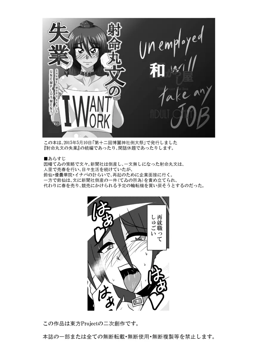 文と鈴仙がアメスク姿で浣腸されて姦されるだけの漫画 - page3