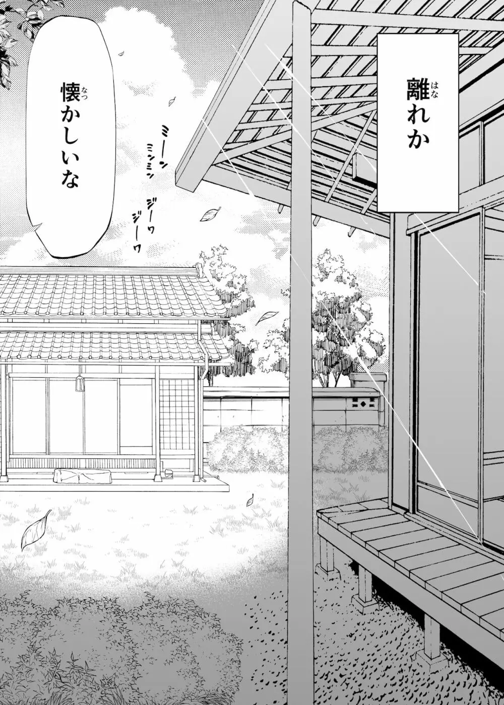 夏のヤリなおし -田舎と離れと美人姉妹- - page13