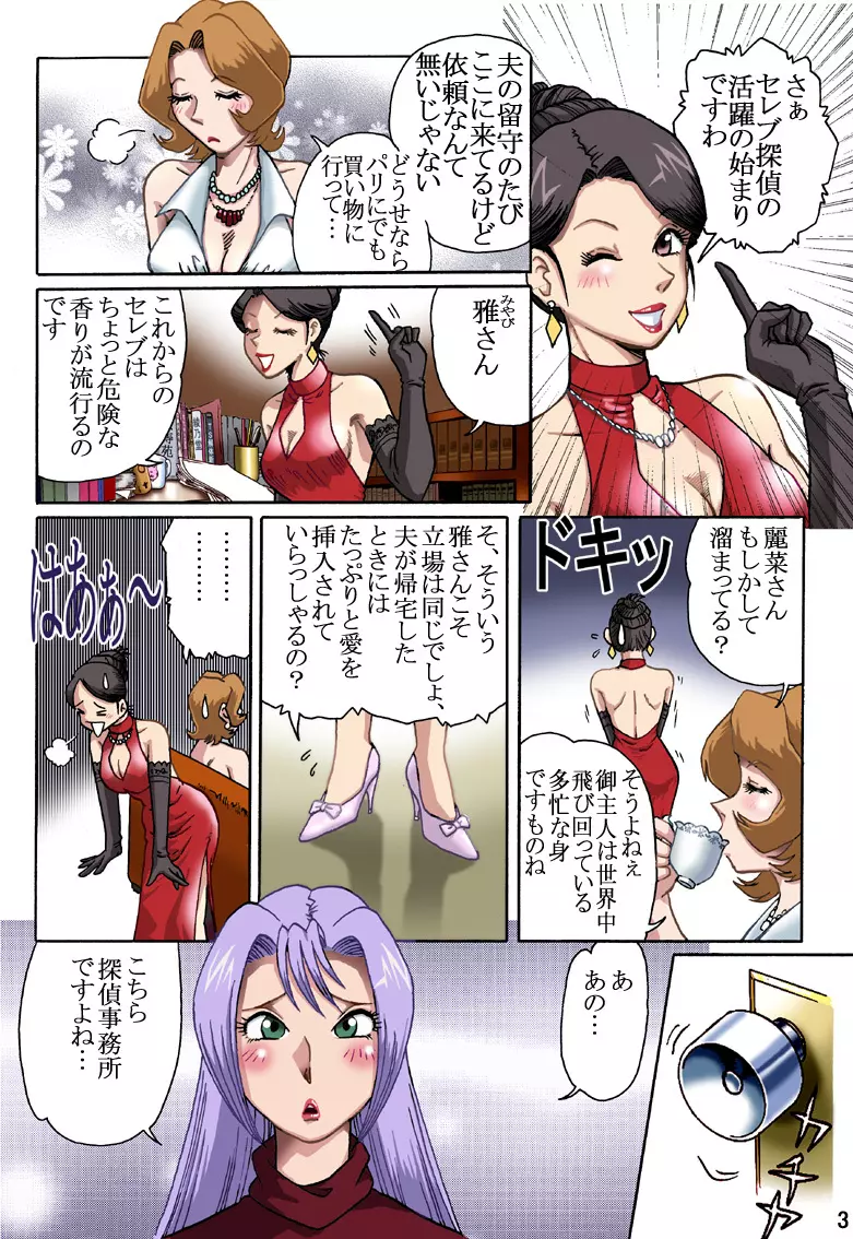 セレブ探偵・危険な依頼 - page2