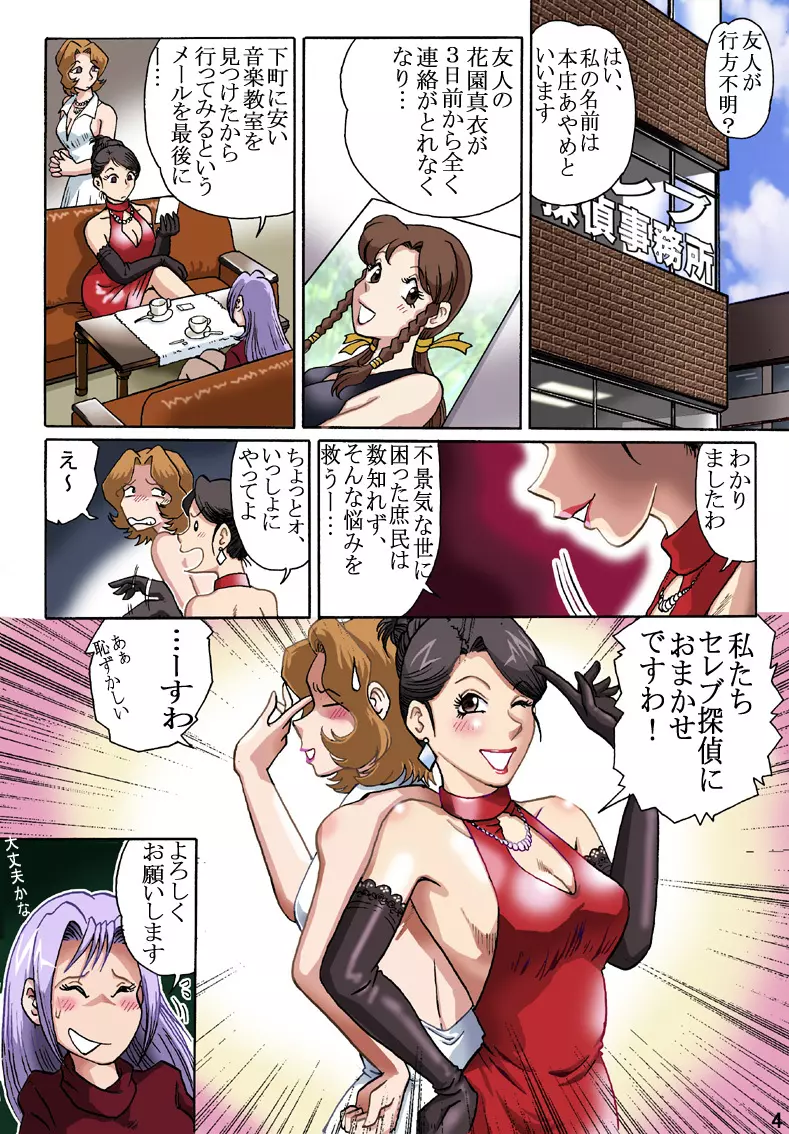 セレブ探偵・危険な依頼 - page3