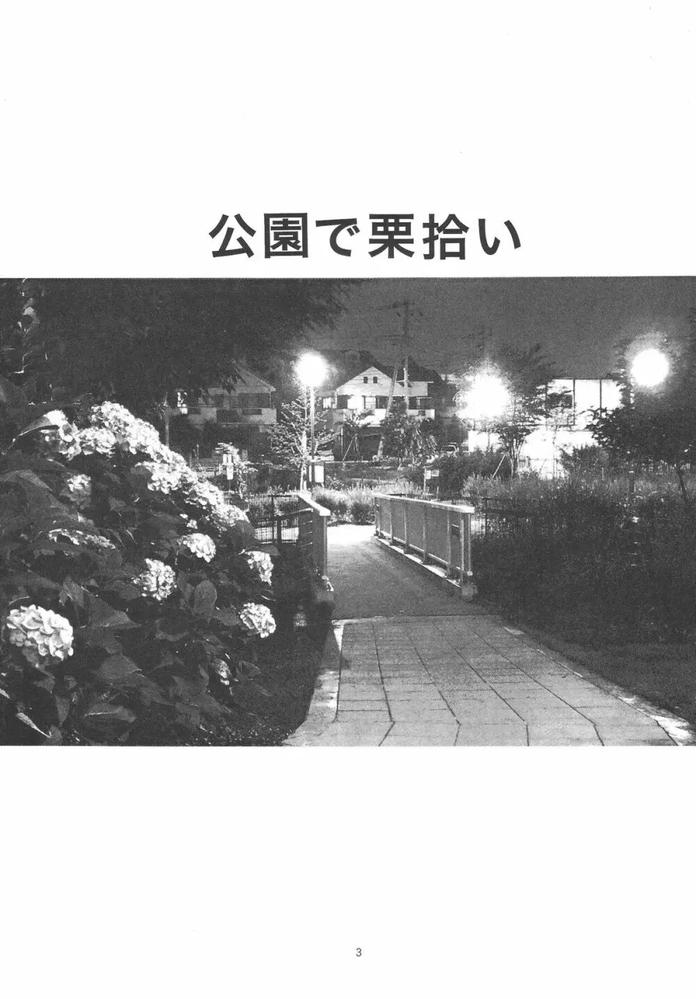 公園で栗拾い - page3