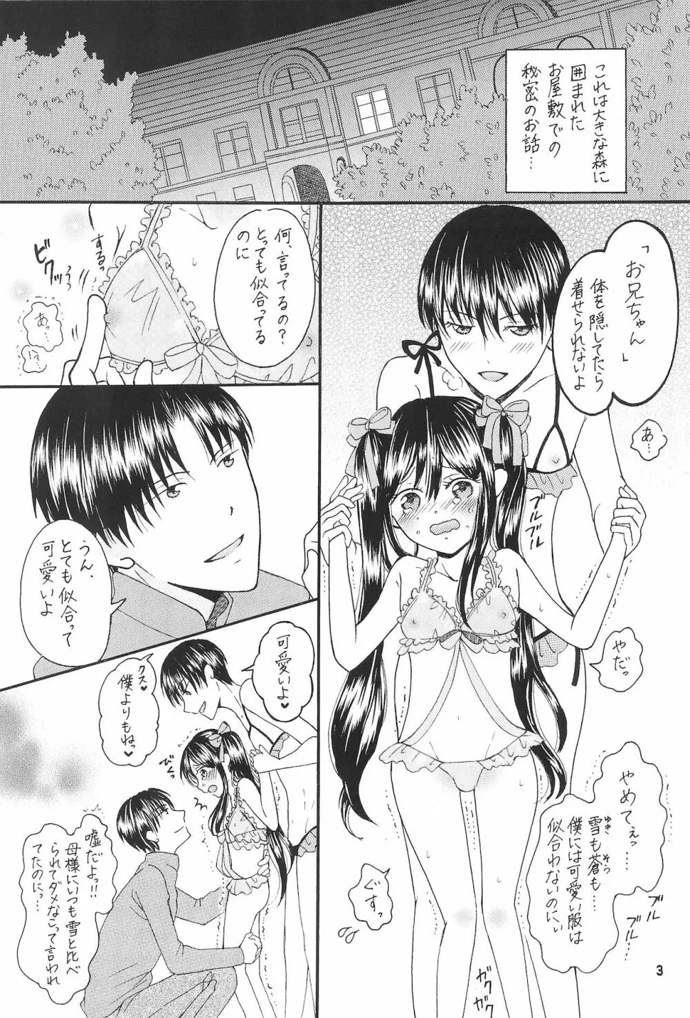 僕たちの恋人になって従兄×似なくなった双子×双子 -改訂版- - page5